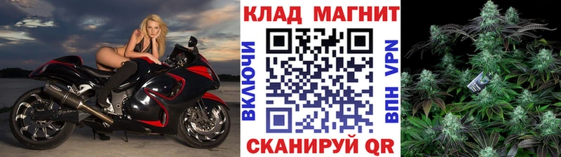 Где найти наркотики Калининград Alpha PVP Меф Галлюциногенные грибы Каннабис Гашиш