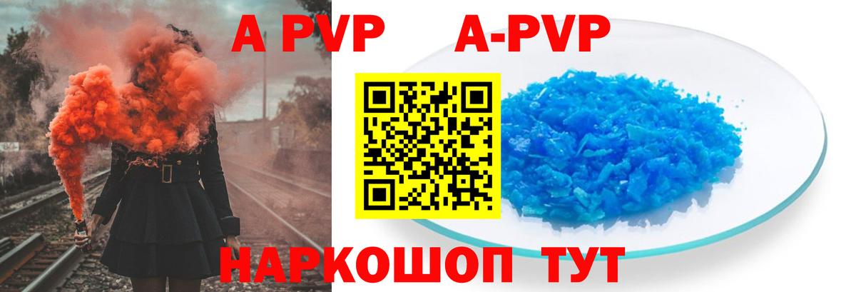 Альфа ПВП СК Калининград