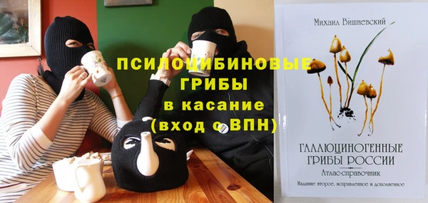 прущие крисы Медвежьегорск