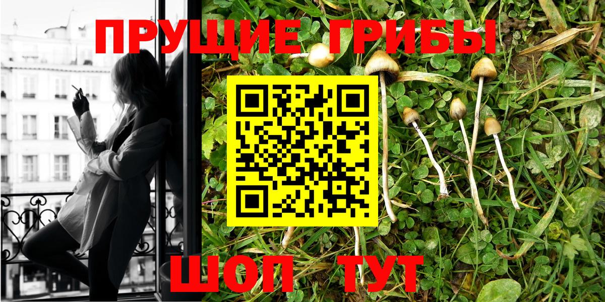 Галлюциногенные грибы GOLDEN TEACHER Калининград