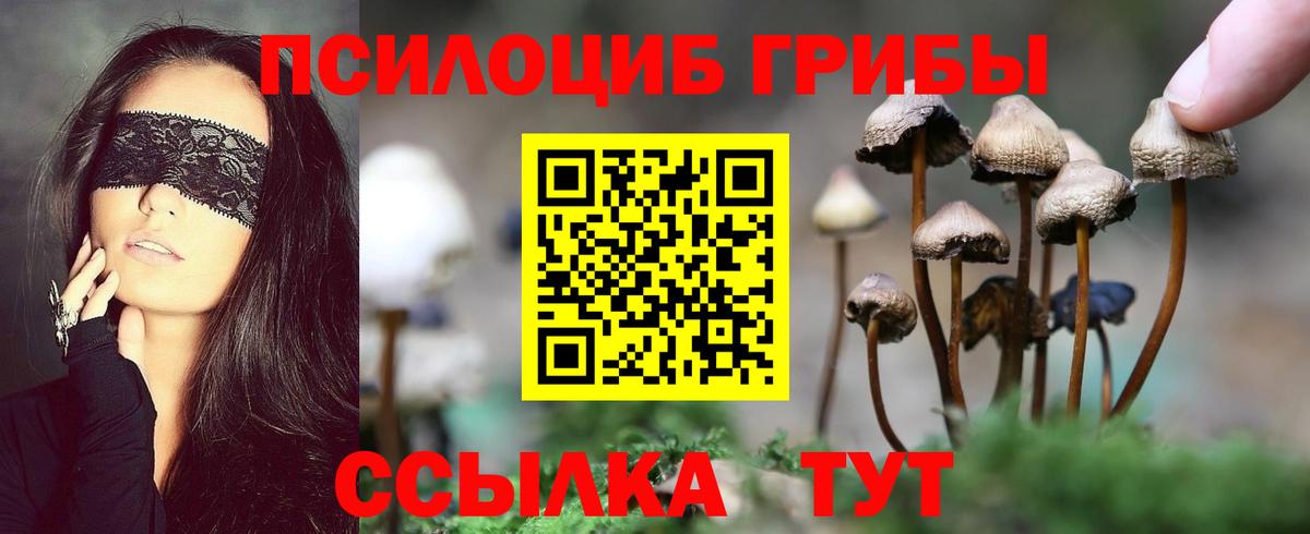 Калининград  Псилоцибиновые грибы мицелий  Псилоцибиновые грибы ЛСД  как найти закладки  Вход с VPN 